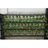 Decoração