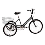Triciclo Adulto Aro 26 Dalannio Bike