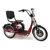 Triciclo Elétrico 1000w 50km/h Fox Duos + Ré ( Idosos )