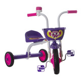 Triciclo Infantil Colorido Bicicletinha Com Buzina