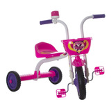 Triciclo Infantil Menina Menina Motoca Velotrol