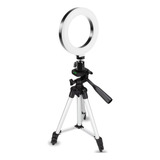 Iluminador