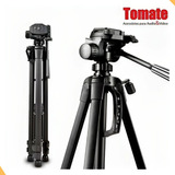 Tomate