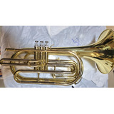 Trombone Trombonito Sib De Marcha Michael Wtmm35m Novo 