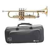 Trompete Bb Harmonics Htr-300l Laqueado Soft Case