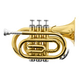 Trompete Harmonics Bb Hmt-500l Pocket Laqueado