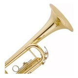 Trompete Lord Special Gold Laqueado Sib