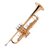 Trompete Michael Wtrm30 Laqueado Bb - Com Case