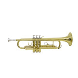 Dourado