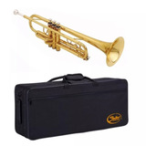 Case