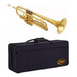 Case