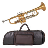 Trompete Sib Profissional Escovado Weril Regium Concert 9075