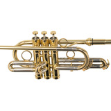Trompete Triunfal Michael Wttm35n Bb Laqueado Com Case