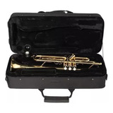 Case