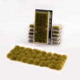 Grass