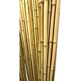 Tutor Bambu Natural - 10 Peças 1 Metro Tratado Para Umidade