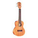 Ukulele Concert Shelby By Eagle Profissional Em Mogno Su23m