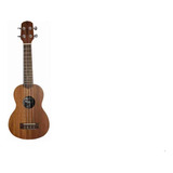 Ukulele Soprano Giannini Acústico Guk-21 Ws Com Bag Simples