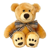Urso De Pelúcia Dirvertido 25cm Primeira Infância Multikids
