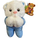 Urso Que Reza Pai Nosso Pelúcia Infantil Musical 22cm Azul