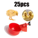Aves,
