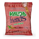 Valda Friends Sachet Canela 30x25g Pastilha