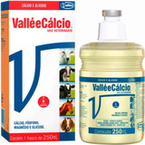 Valléecálcio 250ml - Calcio E Glicose