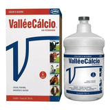 Valléecalcio Cálcio E Glicose 500ml 