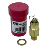 Válvula Boia Agulha Carburador Weber 190 495 460 488320 V200