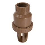 Válvula De Pé Com Crivo Sucção Pvc Roscável 3/4 Higiban