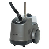 Vaporizador De Roupa Steamer Profissional Neosteam Ns-2 220v