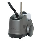 Vaporizador De Roupa Steamer Profissional Neosteam Ns-2 220v
