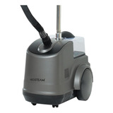 Vaporizador De Roupas Profissional Neosteam Ns-2 - 220v