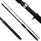 Vara Carretilha Lumis Falcon 2,10 M 30 Lb 2 Partes C/ Nf
