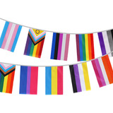 Varal De Bandeirinhas Lgbtqiap+ Decoração 10 Metros