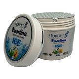 Vaselina Hornet Ice Menta Com Cravo 500g Tattoo Tatuagem