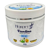 Vaselina Tatuagem Ice Menta Com Cravo Hornet Tattoo 500g