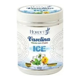 Vaselina Tatuagem Ice Menta Com Cravo Hornet Tattoo 900g