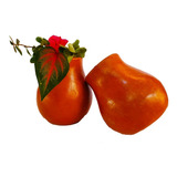 Terrário
