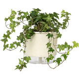 Vaso Autoirrigável N4 Gd 21x18 Calcário Decor Auto Irrigável