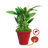 Vaso Cachepot Plantas Temperos Flores C/