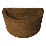 Samambaia