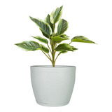 Vaso De Planta Grande Bojo Redondo Clássico Com Prato 30x33