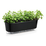 Vaso Jardineira Raiz Autoirrigável 40cm Preto Floreira