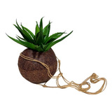 Vaso Kokedama Suspenso 10x11cm Fibra De Coco Natural Flores