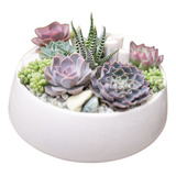 Vaso Terrário 7x13cm C/ Pé Cerâmica P/ Suculentas Cactos Lar Cor Branco