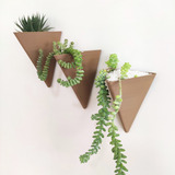 Vasos Decorativo Vertical Parede Suculentas Plantas Pendente