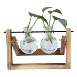 Vasos P/ Plantas Hidroponia Duplo Decoração