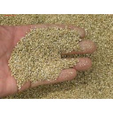Vermiculita Expandida T Fino 1ª Qualidade 100 Litro P Planta
