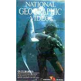 Vhs - National Geographic Os Tubarões